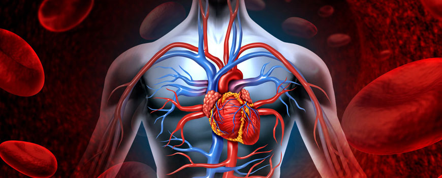 yüksek tansiyon ve koroner kalp hastalığı tedavisi